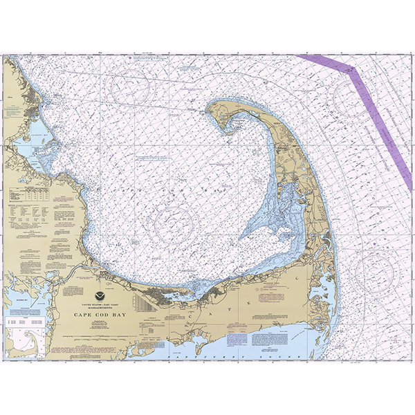 Capecodcanvaswallart Wayfair